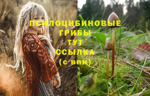 MESCALINE Нефтегорск